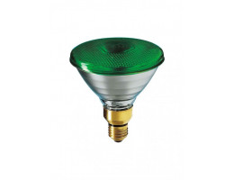 Лампа градинска PAR38 80W E27 зелена